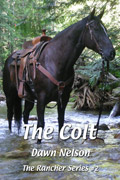 The Colt cover